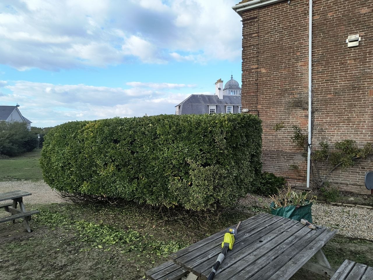 A large evergreen hedge cut to straight sides and a flat top beside a brick wall and wooden picnic benches, with bagged clippings and a pole trimmer on the table